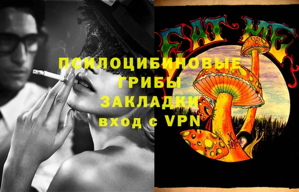 ECSTASY Каменск-Шахтинский