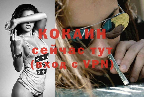 кокс Каменка