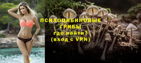 ECSTASY Каменск-Шахтинский
