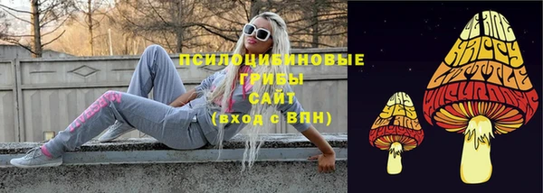 ECSTASY Каменск-Шахтинский