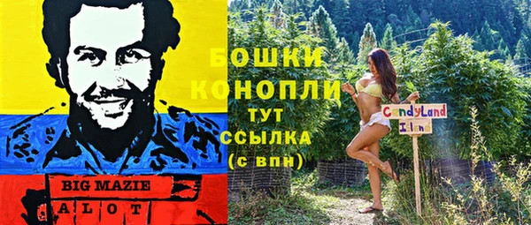 кокс Каменка